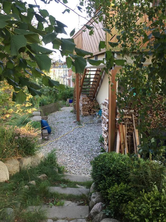 מידלהאגן Ferienwohnung Stockrose מראה חיצוני תמונה