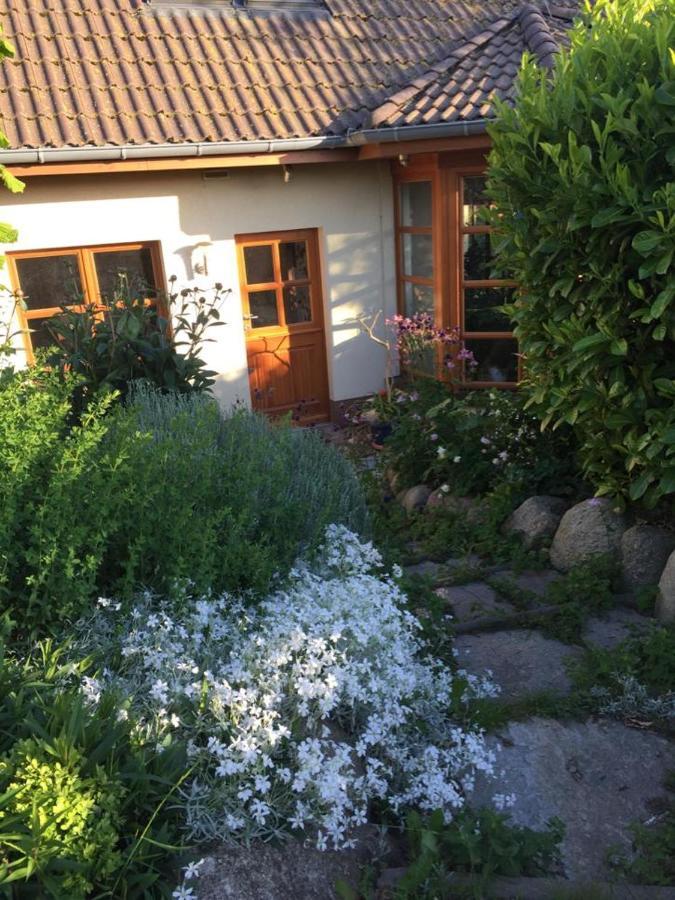 מידלהאגן Ferienwohnung Stockrose מראה חיצוני תמונה